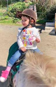 Shetland ponies at Ranch Siesta Los Rubios riding stables in Estepona